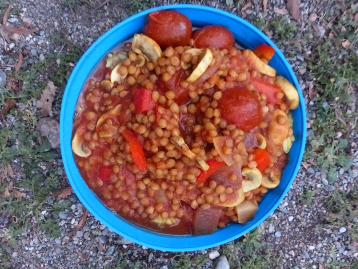 ...created a pretty hearty and tasty vegetable curry.