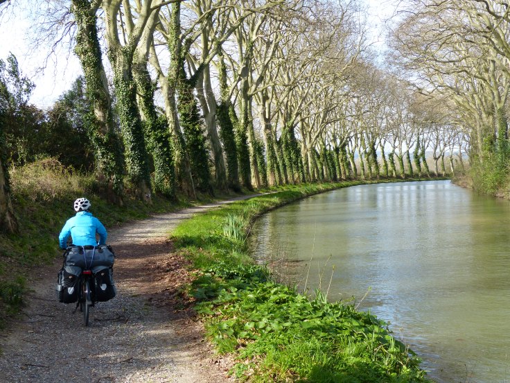 Looking for Ratty and Mole!