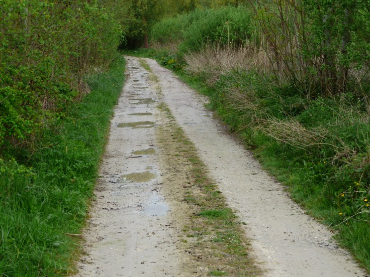 Some slipping and sliding ahead!