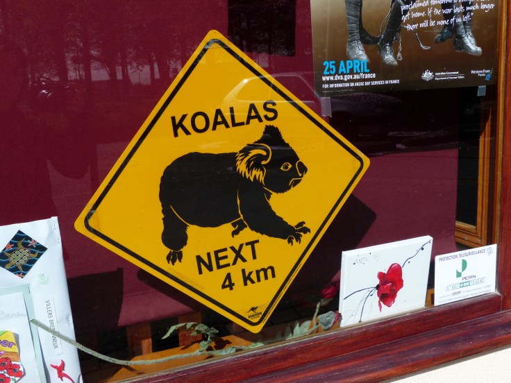 In the window of a cafe