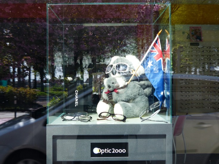 A window display at the optometrists