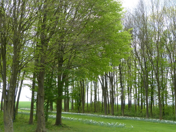 The surroundings are beautiful