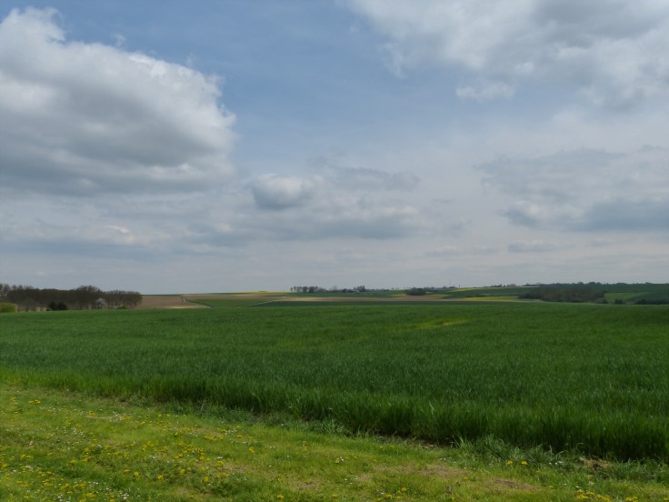 What was the battlefield