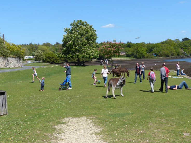 How delightful is that!