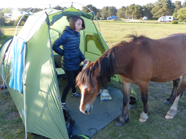 Right, you've had your fun! Now naff off! 