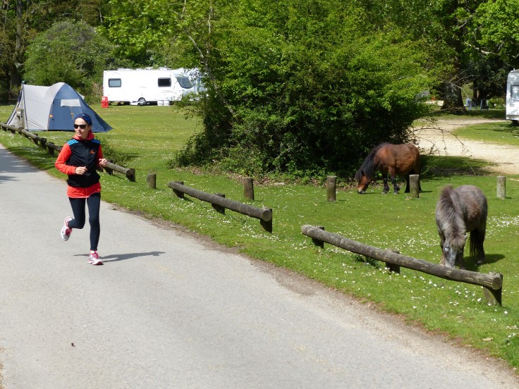 A run and the ponies...what a great combo!