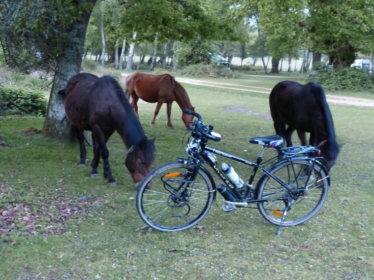 Our evening guests...