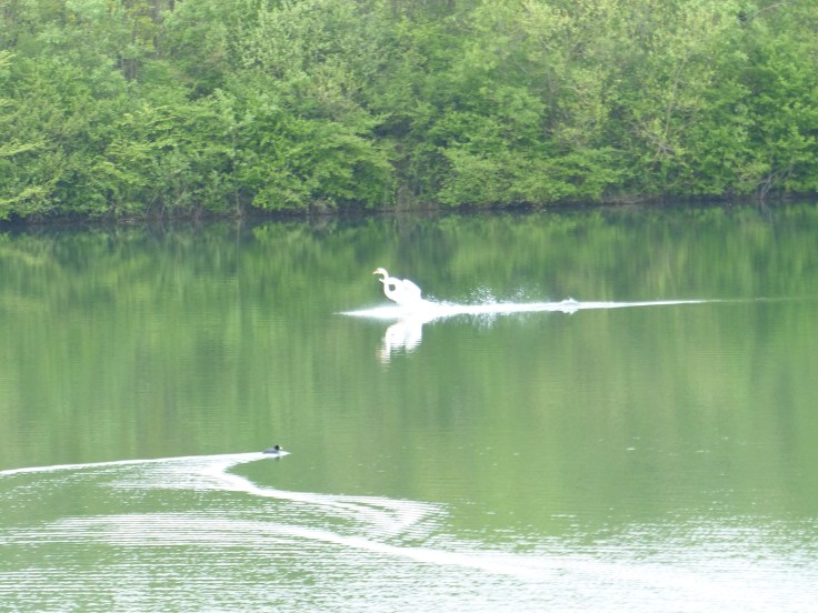 Look out! Jezza has arrived in town!