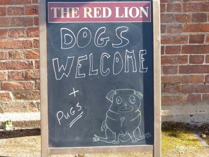 Should the pugs be offended?