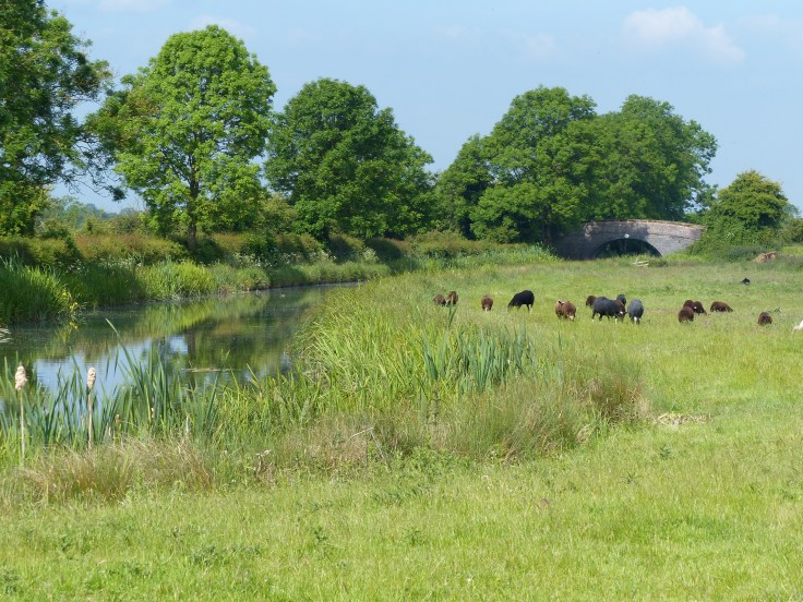 Aaaah, back in the countryside!