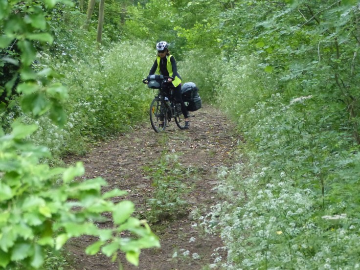 Bumping and braking and wobbling down the hill.