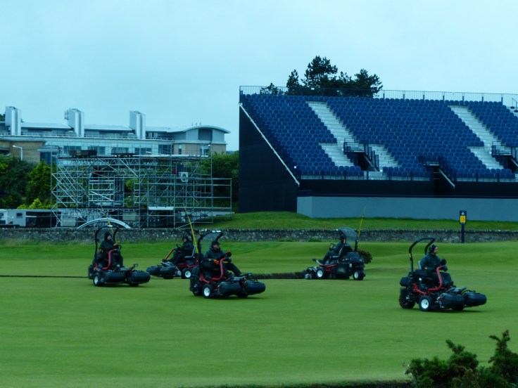 The waltz of the mowers - it was beautifully choreographed! 