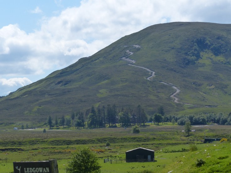 When we saw this road winding up the hill, we were tempted to come back and ride up it on the bikes...not! 