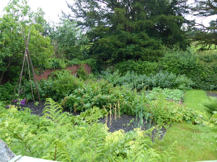 Any sign of Mr McGregor?