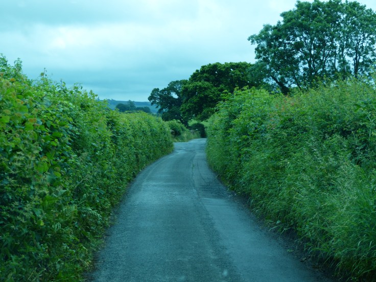 Breathe in! Elbows in! This was a super narrow road!