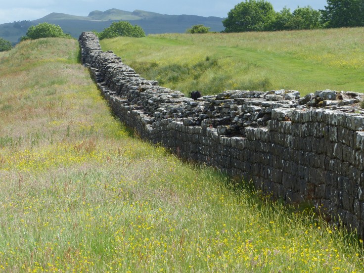 P1090290