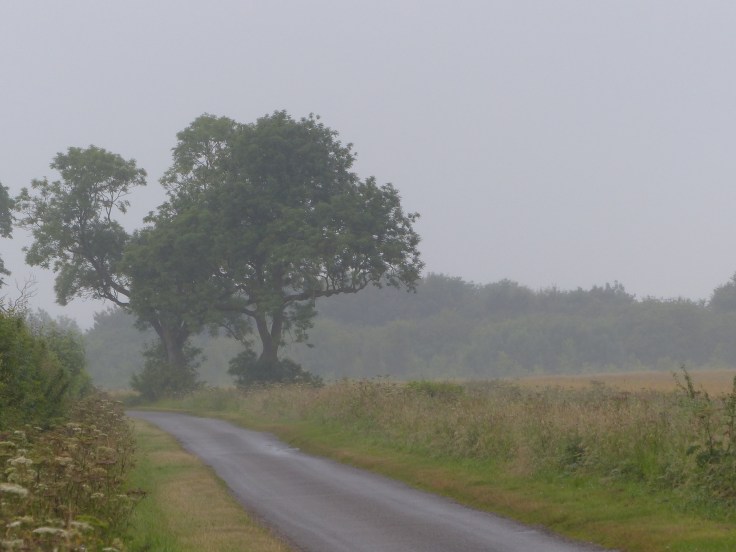 The countryside's elegant grey frock