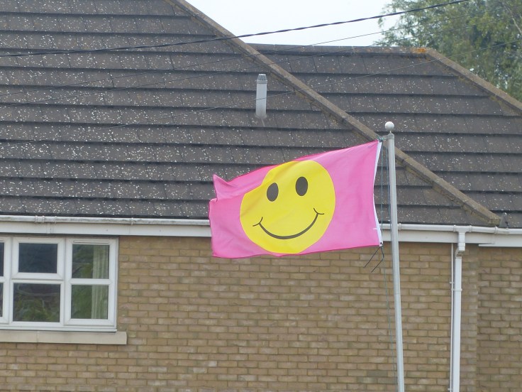 We saw this flag at the beginning of the ride. It was not a sign of things to come!