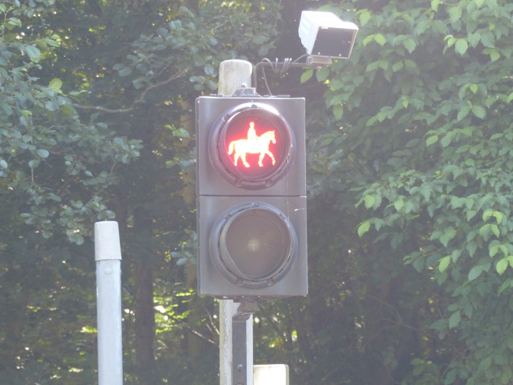 You know you're in the country when you have a crossing for horse riders!