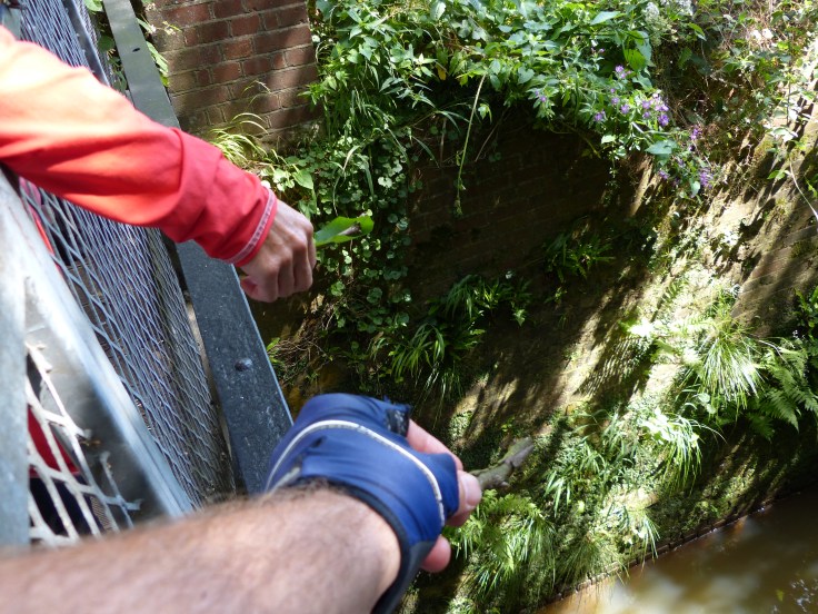 1, 2, 3...Pooh Sticks!
