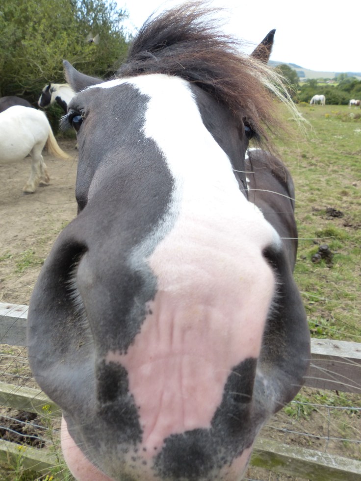 "Oy, lady, I think you and I have the same hairdresser!"