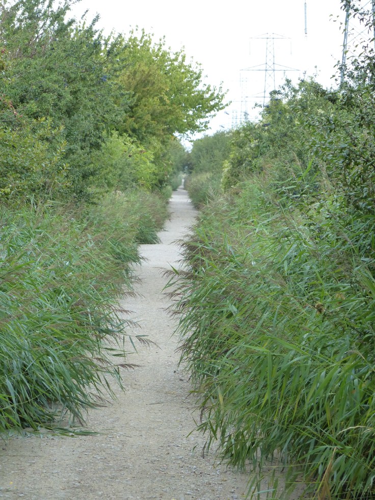 No need to worry about this path