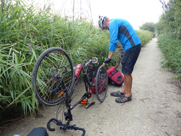 Puncture number 5! The big fella was not happy!