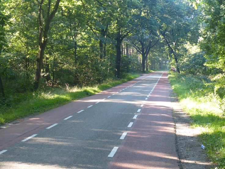 Peaceful roads. This is an example of the roads that have two lanes for bikes and a single lane for cars