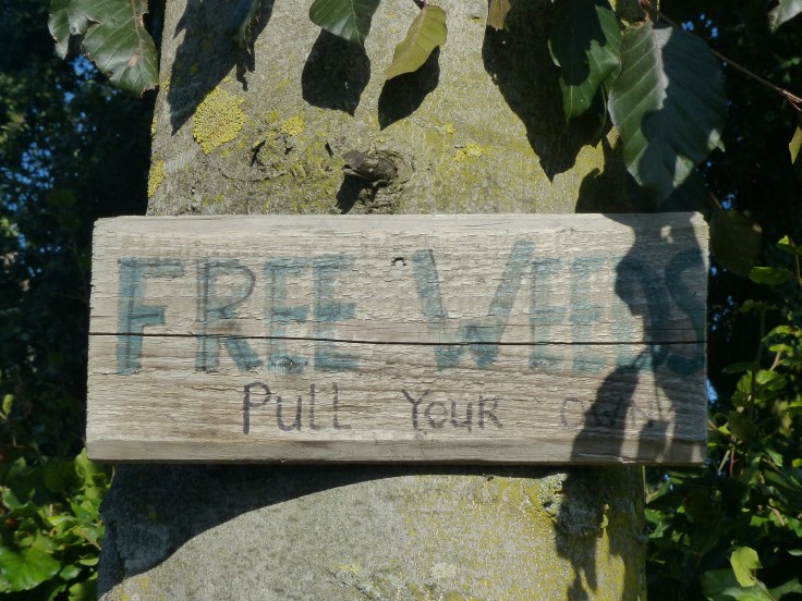 I think I'll put a sign like this one outside our house! 