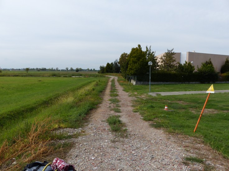 The path to the paddock! 