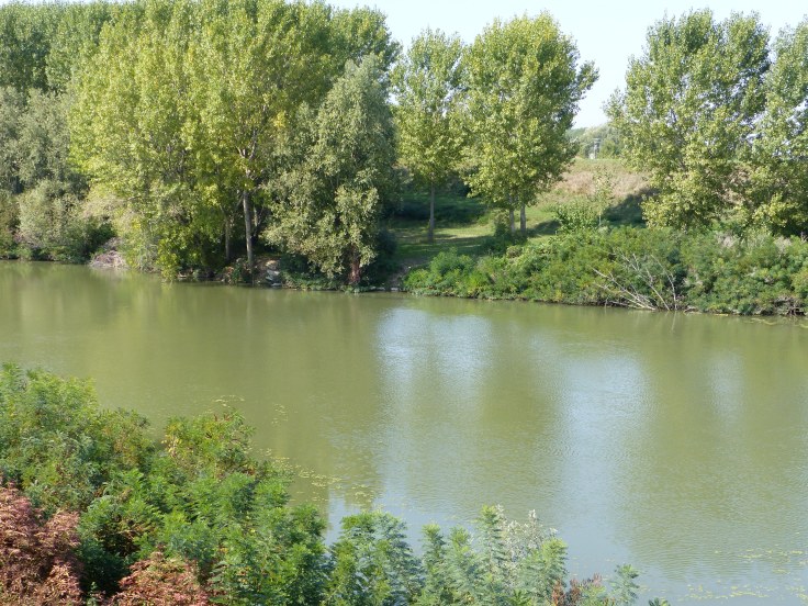 A lovely peaceful spot