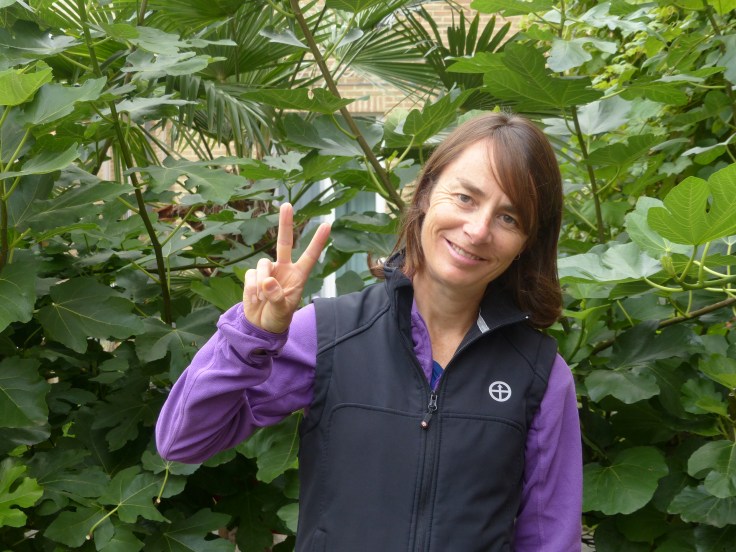 V for Veg. 100% plant powered!