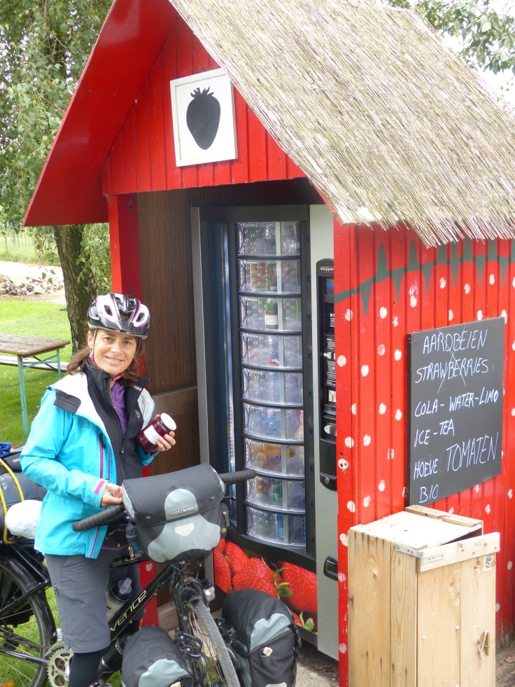 Homemade plum jam...love the roadside vending machines