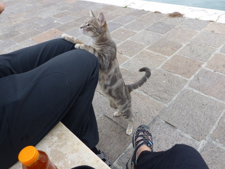 Me too please! Something for me!?