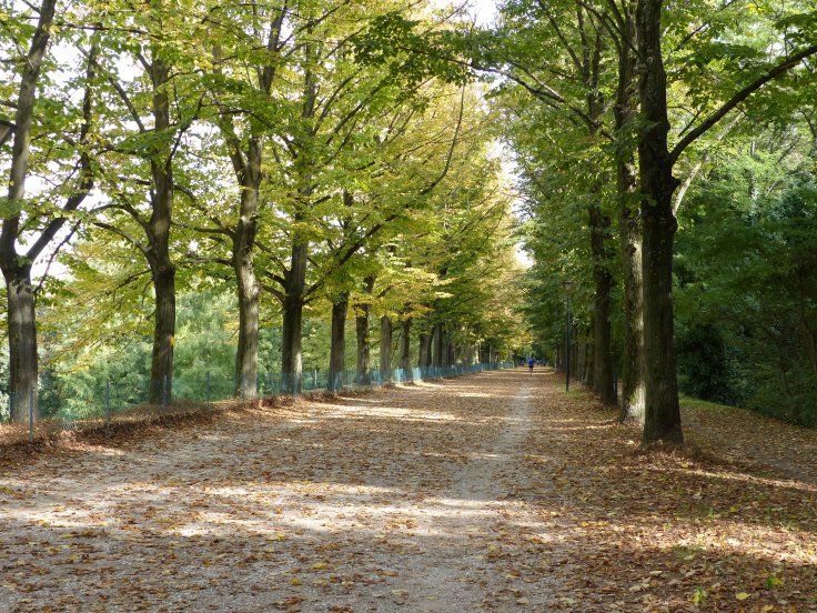 A lovely place to ride. I would have loved to run there too.