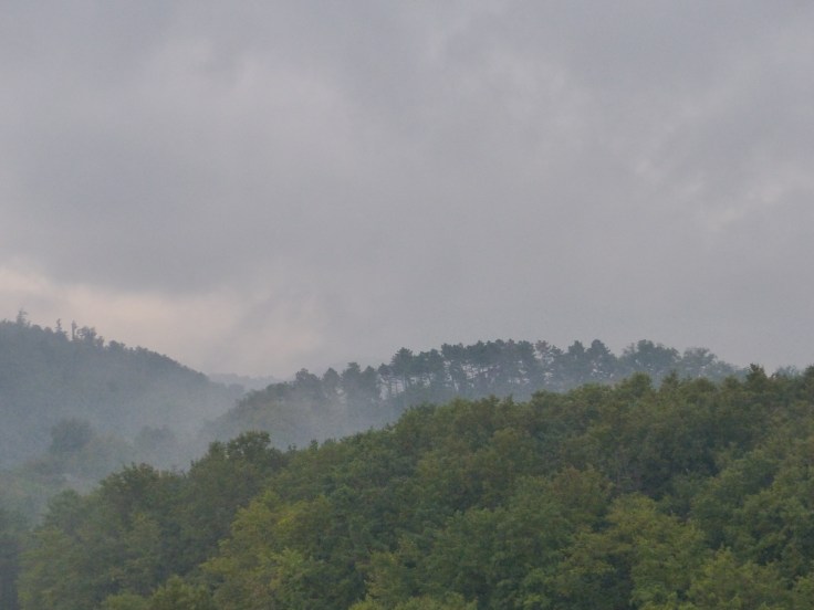 Thar's rain in them thar clouds!