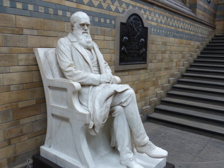 Darwin front and centre as you arrive at the Natural History Museum