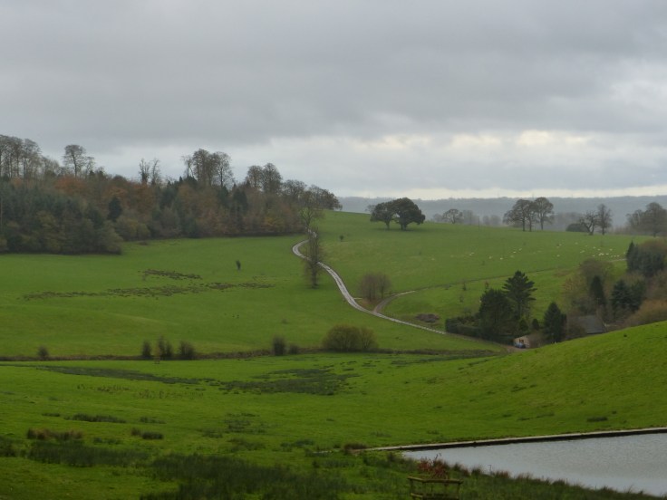A gorgeous drive through the estate