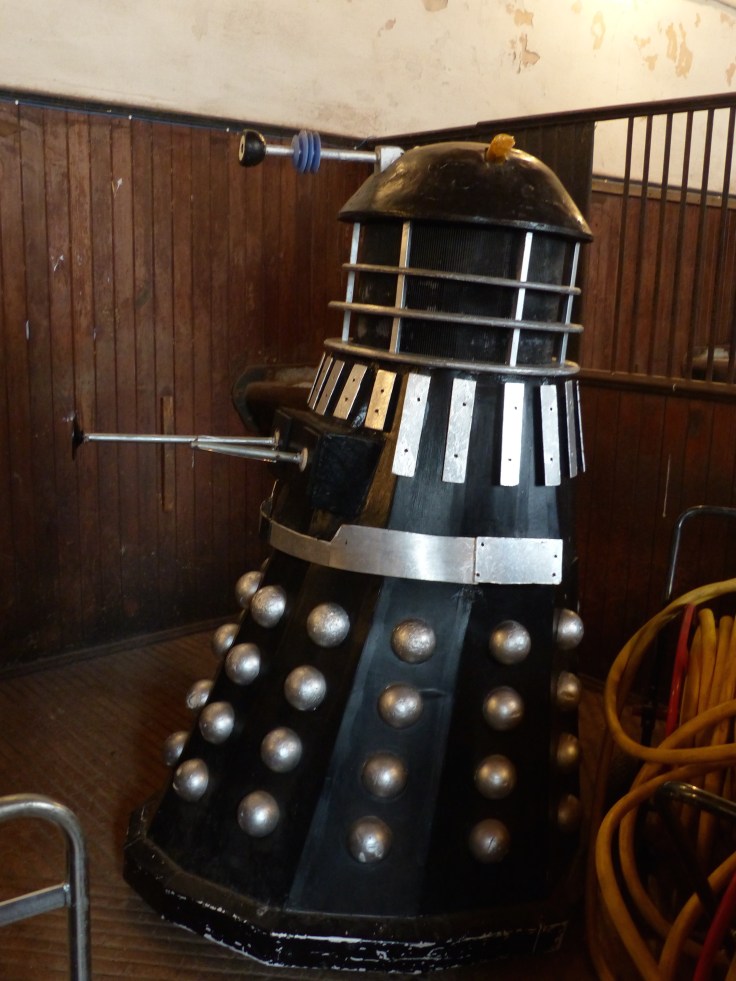 An unexpected resident in the stables. I guess they do time travel!