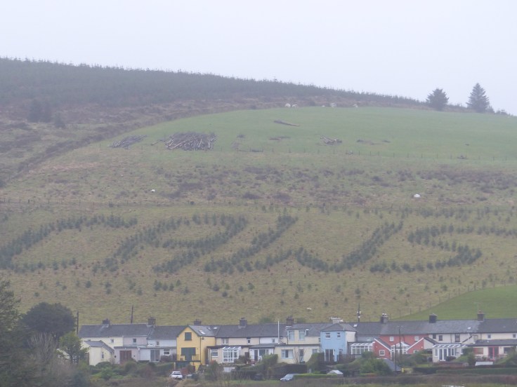 I think the trees on this hill were just waiting to be photographed, because the word translates as "CHEESE"!