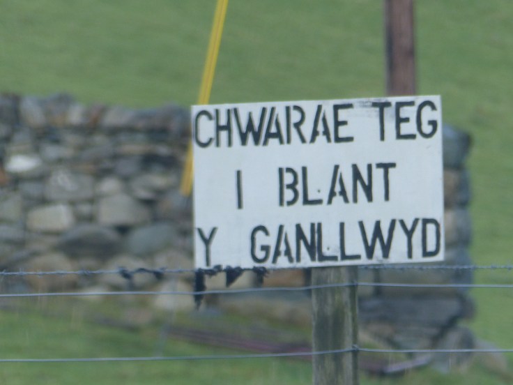 "Playing field for children of Ganllwyd"