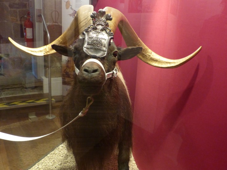 It's definitely not smiling!