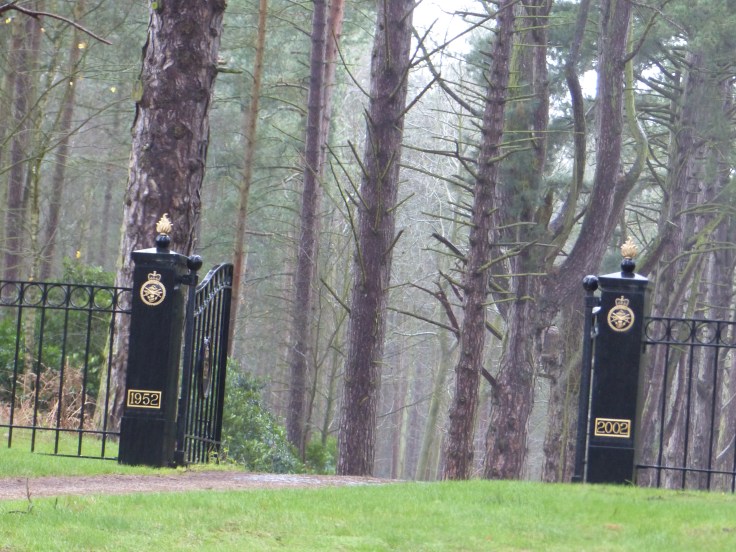 No passing royals today. The corgis must love all those trees!