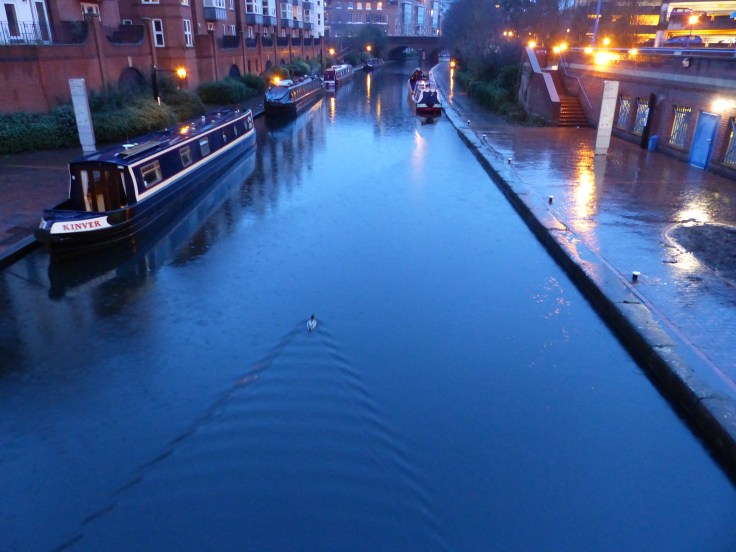 Nice weather for ducks...well one at least who was taking a sedate paddle along the canal.