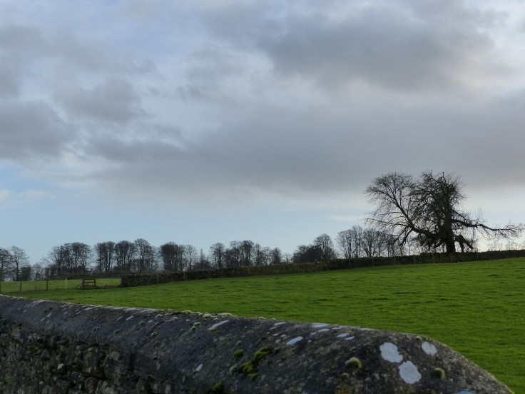 A top view for lunch