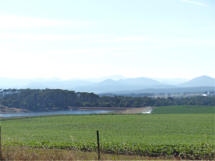 The blue hills of home