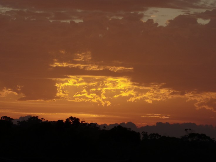 This is why I love to run in the morning!