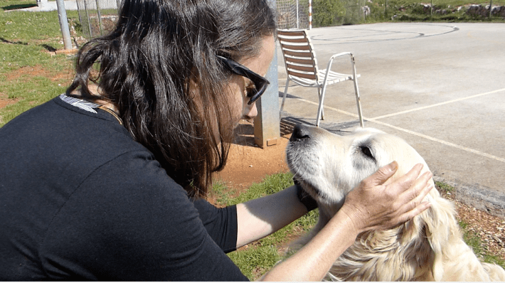 Screen Shot 2019-04-27 at 8.23.39 pm