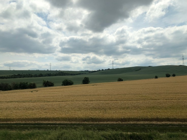 eN5X5GptTXuvr3SRSw744A