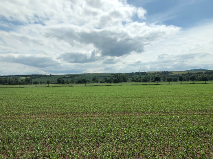 QIzSZIRPTs+aW2PTEBVMLg